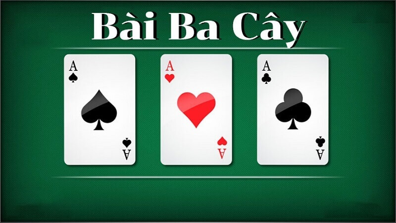 3 Cây Miền Bắc vegas79